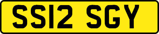 SS12SGY