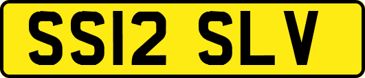 SS12SLV