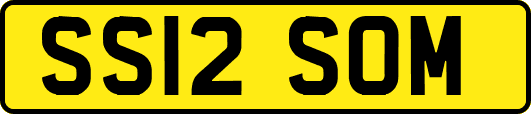 SS12SOM