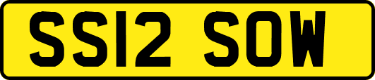 SS12SOW