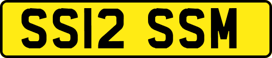SS12SSM