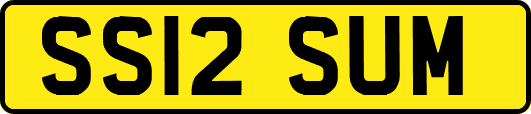 SS12SUM