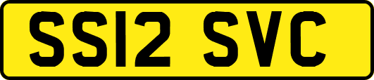SS12SVC