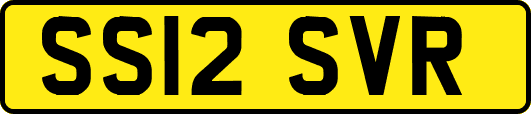 SS12SVR