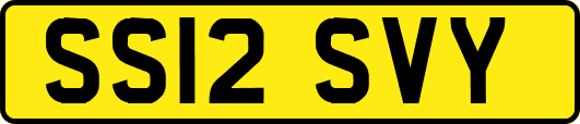 SS12SVY
