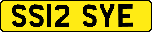 SS12SYE