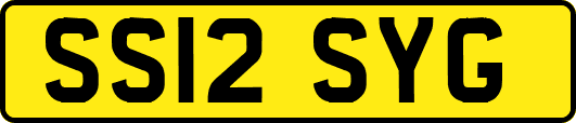 SS12SYG