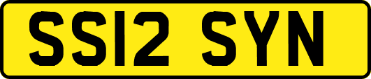SS12SYN