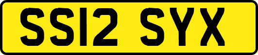SS12SYX