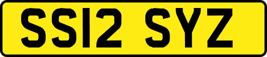 SS12SYZ