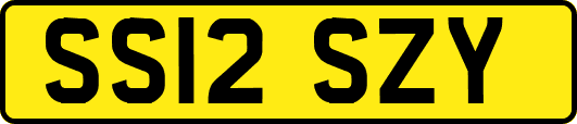 SS12SZY