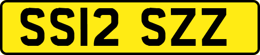 SS12SZZ
