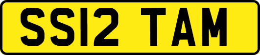 SS12TAM