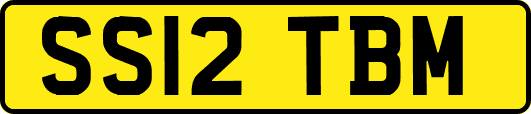 SS12TBM