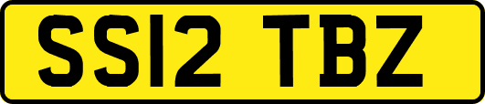 SS12TBZ