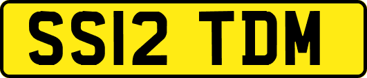 SS12TDM