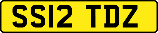 SS12TDZ