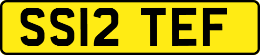 SS12TEF