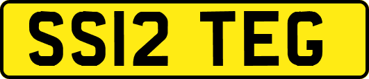 SS12TEG
