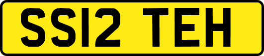 SS12TEH