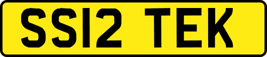SS12TEK