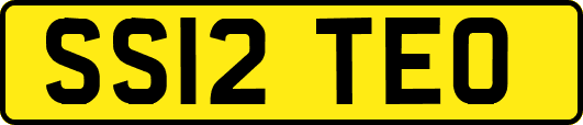 SS12TEO