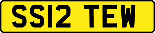 SS12TEW
