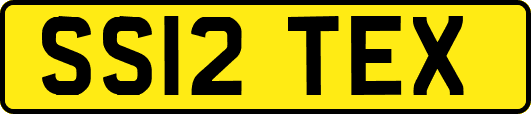 SS12TEX