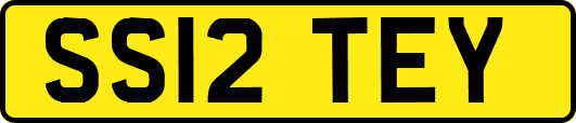 SS12TEY