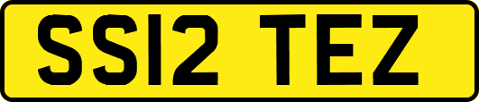 SS12TEZ