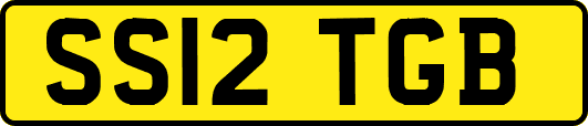 SS12TGB