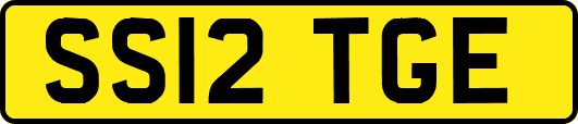 SS12TGE