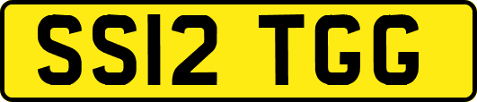 SS12TGG