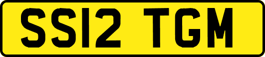 SS12TGM