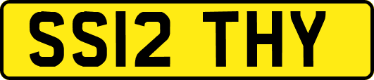 SS12THY