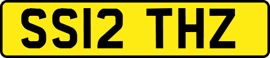 SS12THZ
