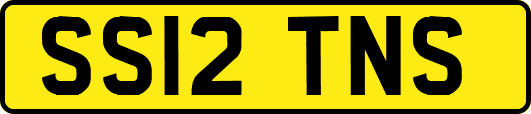 SS12TNS
