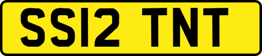 SS12TNT