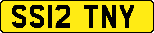 SS12TNY