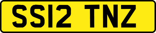 SS12TNZ
