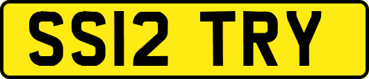 SS12TRY