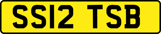 SS12TSB