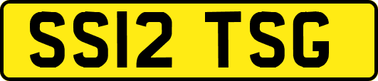 SS12TSG