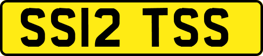 SS12TSS