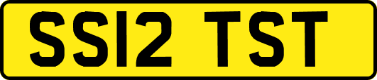 SS12TST