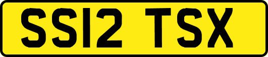 SS12TSX