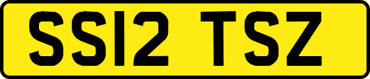 SS12TSZ