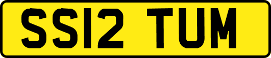 SS12TUM