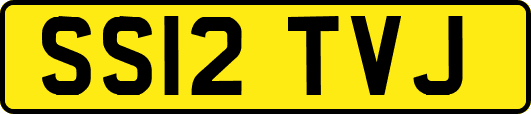 SS12TVJ