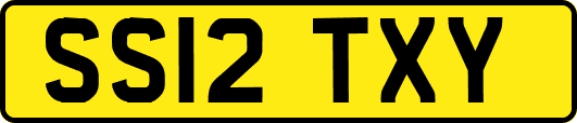 SS12TXY